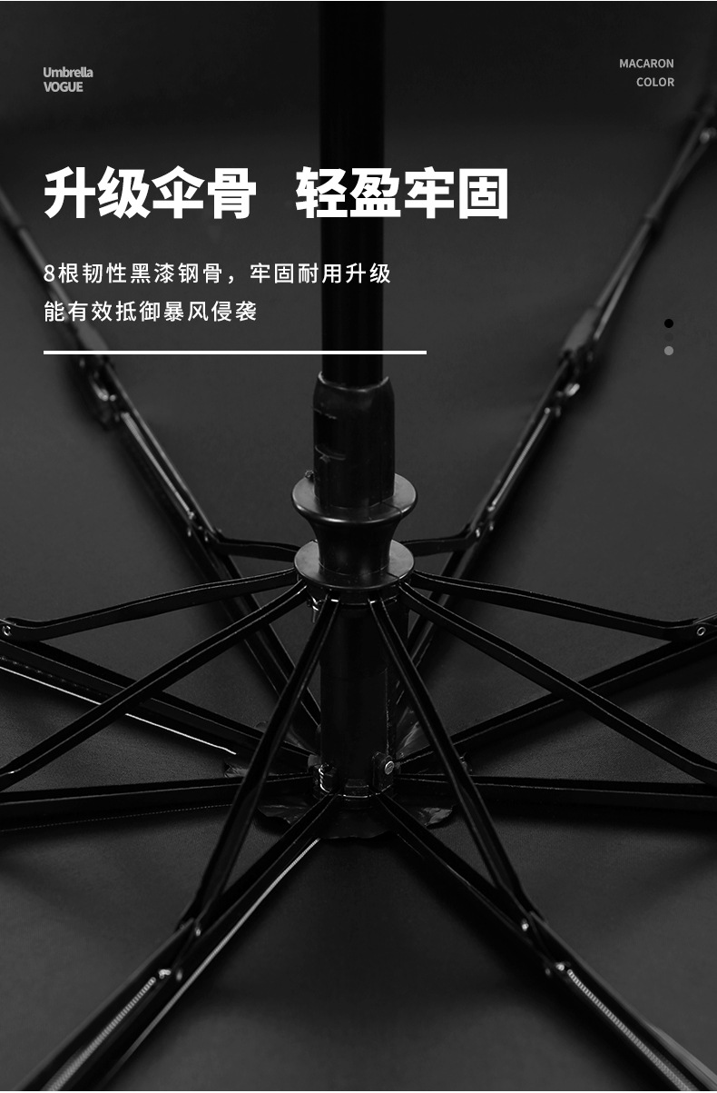 小雏菊自动_09.jpg