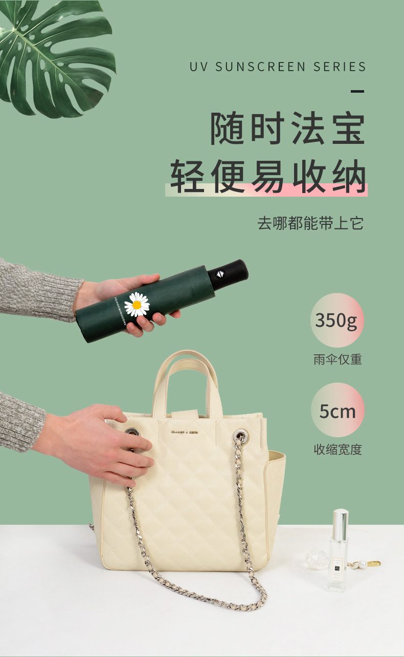 小雏菊自动_02.jpg