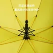 缩略图 3