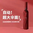 缩略图 7