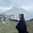 缩略图 3