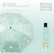 缩略图 7