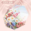 缩略图 7