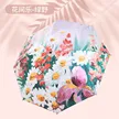 缩略图 5