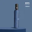 缩略图 9