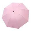 缩略图 4