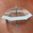 缩略图 7