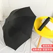 缩略图 5