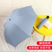 缩略图 9