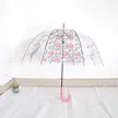 缩略图 1