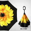 缩略图 4