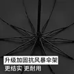 缩略图 1