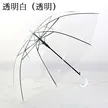 缩略图 5