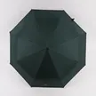 缩略图 7