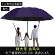缩略图 9