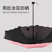 缩略图 3