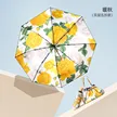 缩略图 7