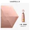 缩略图 8