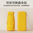 缩略图 3