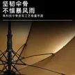 缩略图 1
