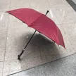 缩略图 5