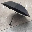 缩略图 6