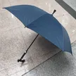 缩略图 4