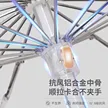缩略图 3