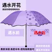 缩略图 3