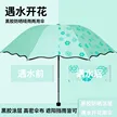 缩略图 5