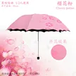 缩略图 8