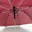 缩略图 8