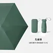 缩略图 7