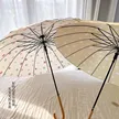 缩略图 1