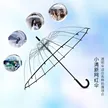 缩略图 8