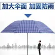 缩略图 3