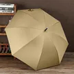 缩略图 2