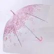 缩略图 6