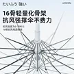 缩略图 2