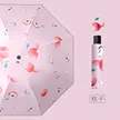 缩略图 6