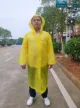 缩略图 9