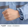 缩略图 2