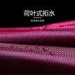 缩略图 3