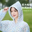 缩略图 1