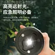 缩略图 3