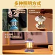 缩略图 2