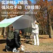缩略图 5