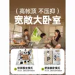 缩略图 2