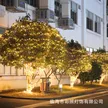 缩略图 3