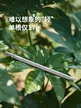 缩略图 4